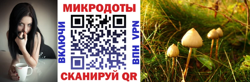 MEGA ссылка  Ногинск  Галлюциногенные грибы прущие грибы 