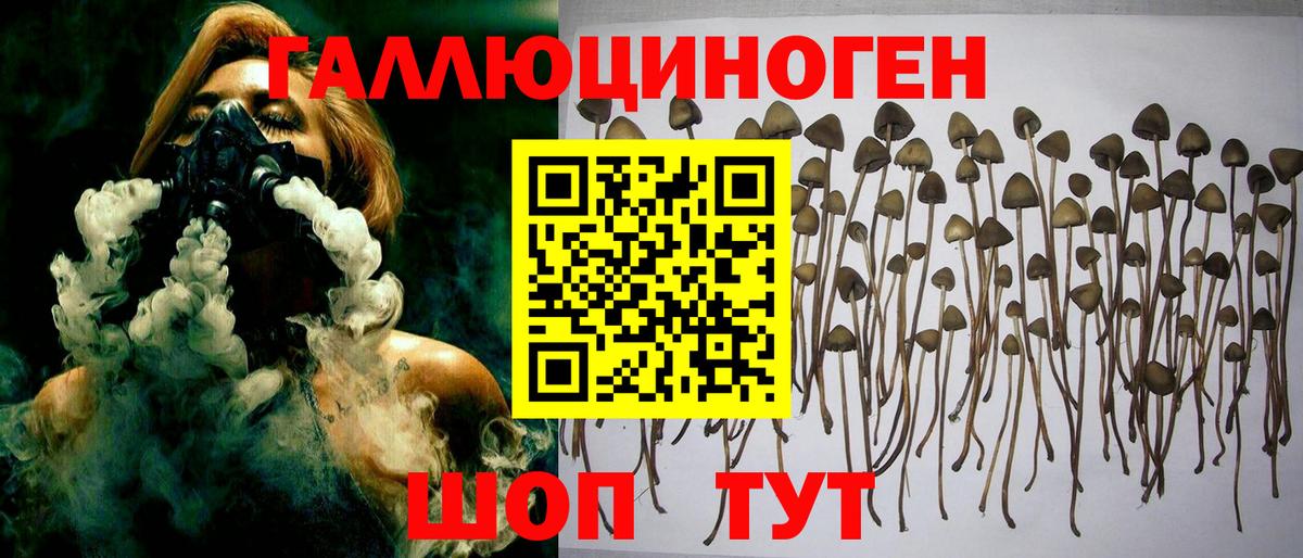 Псилоцибиновые грибы Cubensis Ногинск